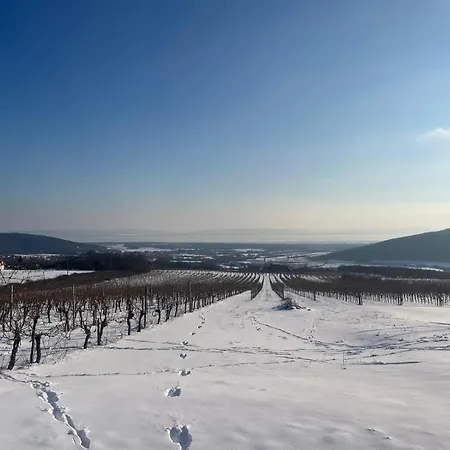 Panorama, Balaton Prázdninový dům *